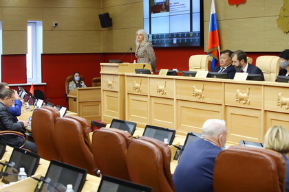 Заксобрание приняло законопроект о поддержке бизнеса, пострадавшего в результате пандемии